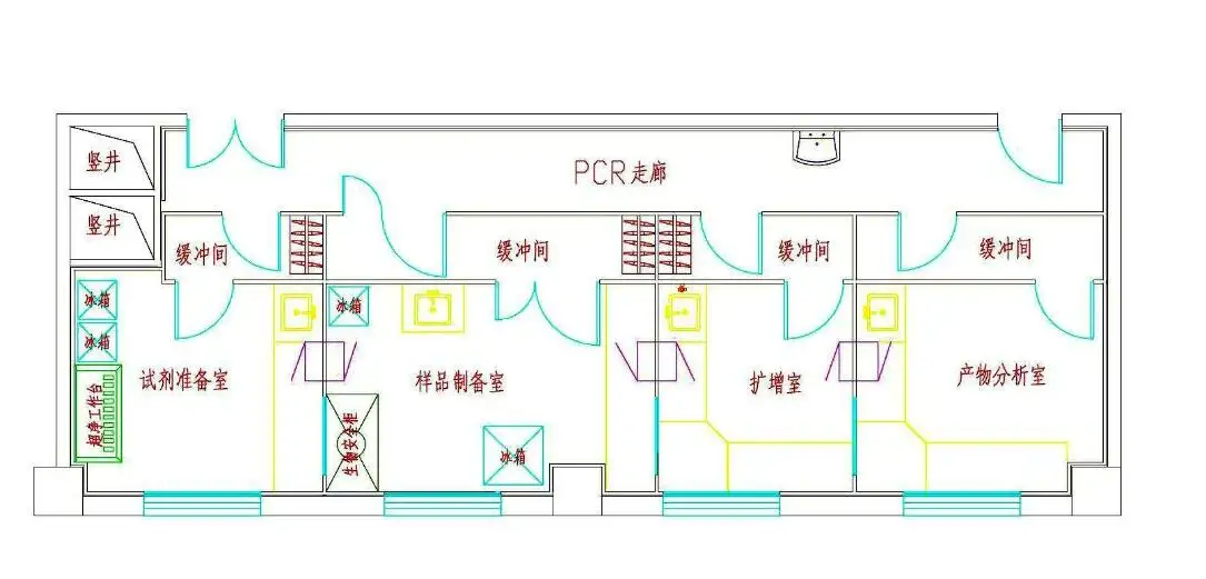 pcr實驗室功能區布局