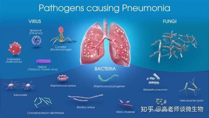 P2病原微生物實驗室