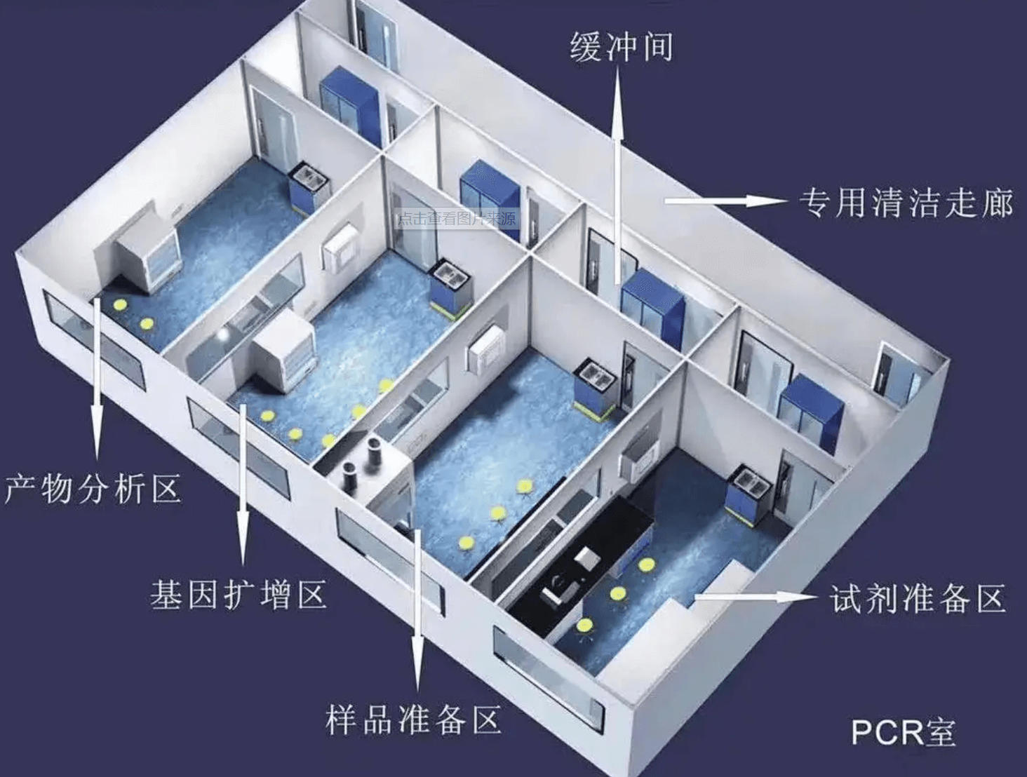 PCR實驗室效果圖