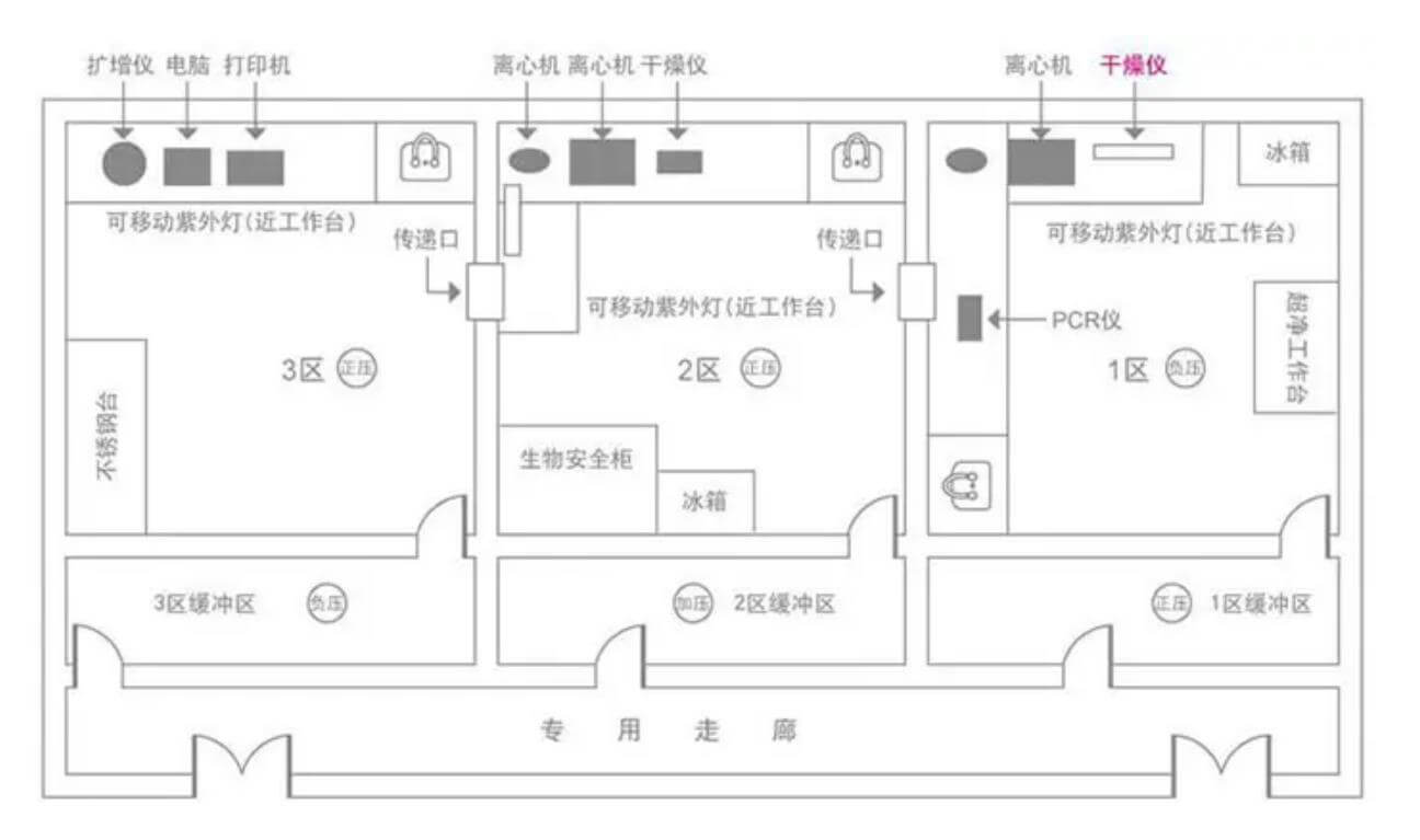 DNA實驗室設計效果圖